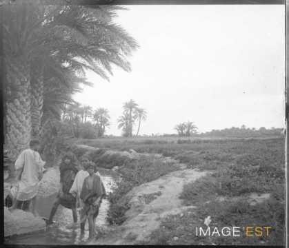 Enfants dans un ruisseau (Biskra ?)