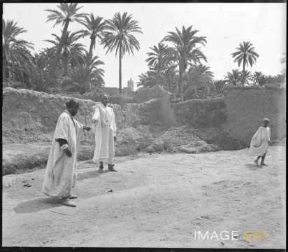Rue (Sidi Okba)