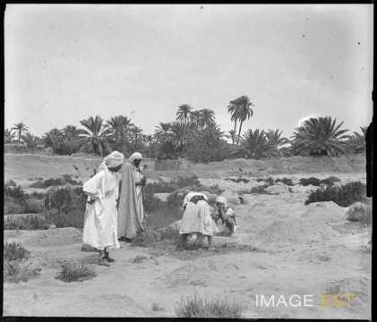 Groupe de berbères (Sidi Okba ?)