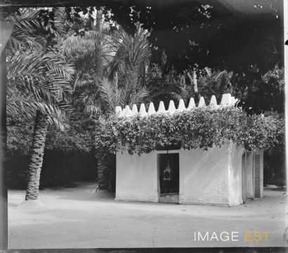 Propriété de M. Landon de Longueville (Biskra)