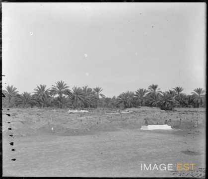 Cimetière (Biskra)
