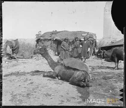 Groupe de bédouins (Kairouan ?)