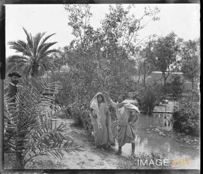 Oasis (Kairouan)