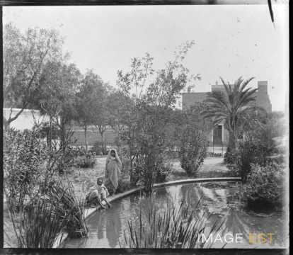 Oasis (Kairouan)