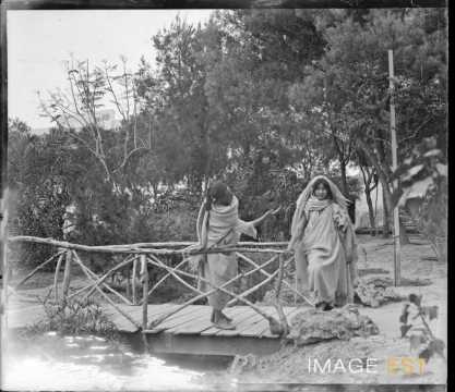 Passerelle dans une oasis (Kairouan)