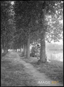 Femme dans une allée (Jarville-la-Malgrange)
