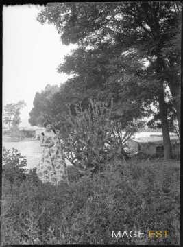 Femme au bord de la Meurthe (Jarville-la-Malgrange)