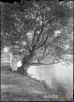 Femme au bord de la Meurthe (Jarville-la-Malgrange)