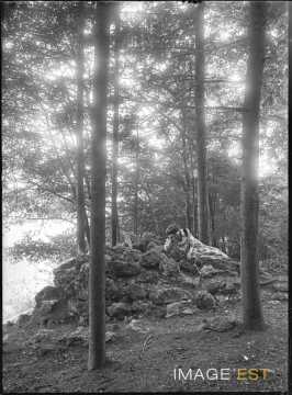 Aimée Michels dans une forêt (Bouxières-aux-Chênes)