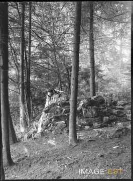 Aimée Michels dans une forêt (Bouxières-aux-Chênes)