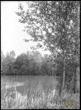 Étang (Bouxières-aux-Chênes)