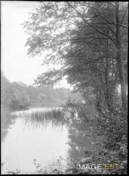 Étang (Bouxières-aux-Chênes)
