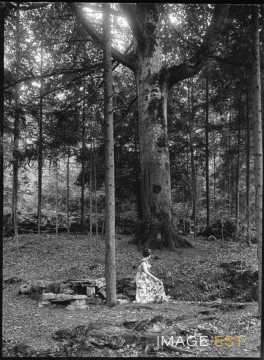 Aimée Michels dans une forêt (Bouxières-aux-Chênes)