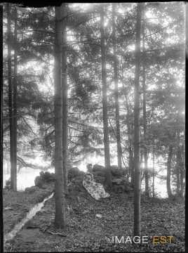 Aimée Michels dans une forêt (Bouxières-aux-Chênes)