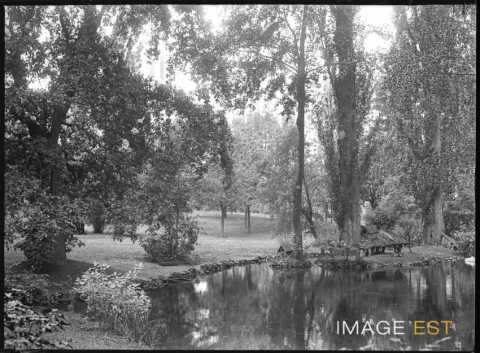 Étang du parc Olry (Nancy)