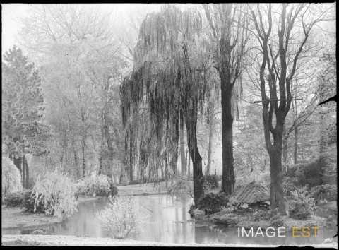 Étang du parc Olry (Nancy)