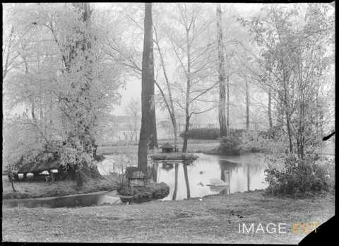 Étang du parc Olry (Nancy)