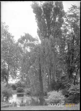Étang du parc Olry (Nancy)