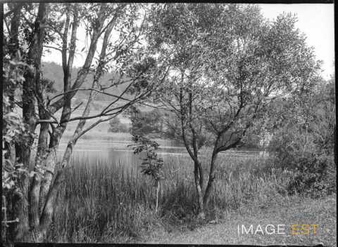 Ruisseau d'Esch (Martincourt)