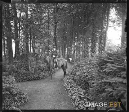 Cavalier dans le parc Olry (Nancy)