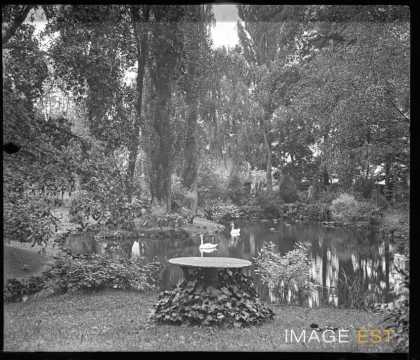 Étang du parc Olry (Nancy)