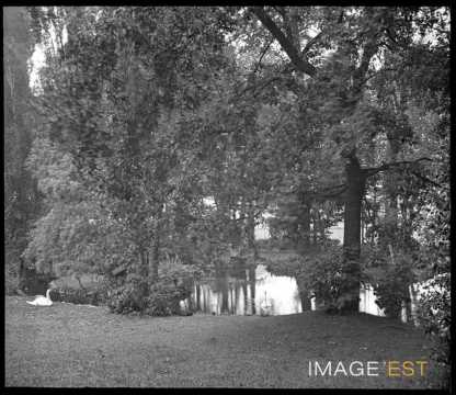 Étang du parc Olry (Nancy)
