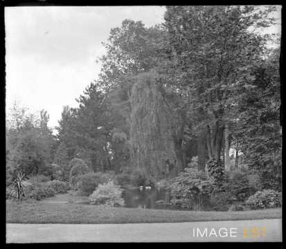 Étang du parc Olry (Nancy)