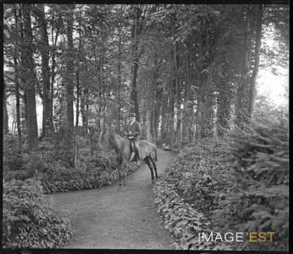 Cavalier dans le parc Olry (Nancy)