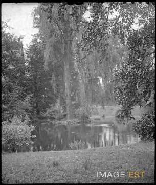 Étang du parc Olry (Nancy)