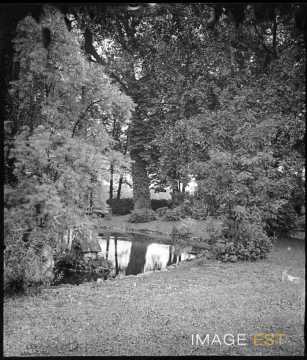 Étang du parc Olry (Nancy)