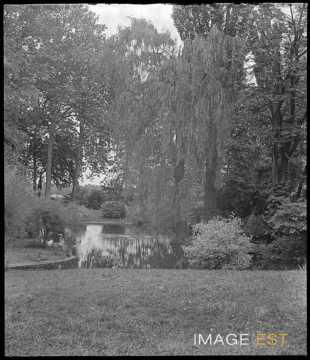 Étang du parc Olry (Nancy)