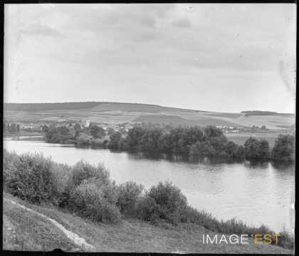 La Moselle (Millery)