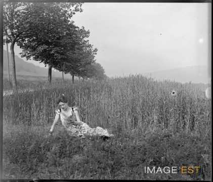 Femme au milieu d'un champ de roseaux (Liverdun)