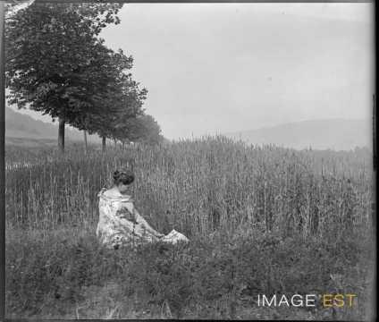 Femme au milieu d'un champ de roseaux (Liverdun)