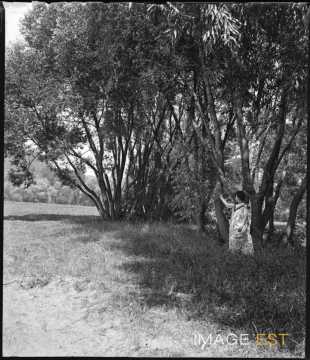 Femme au bord d'un étang (Bouxières-aux-Chênes)