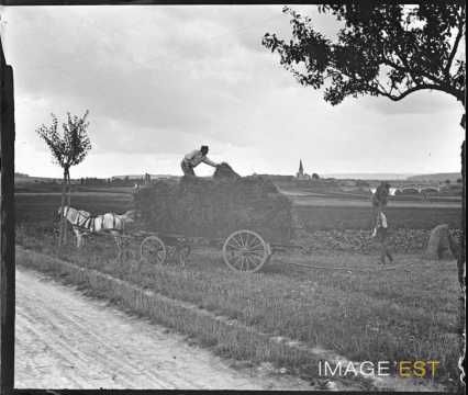 Récolte de foin (Meurthe-et-Moselle)