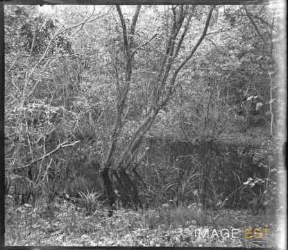Cours d'eau (Meurthe-et-Moselle)