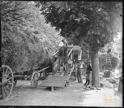 Battage avec une trépigneuse (Meurthe-et-Moselle)