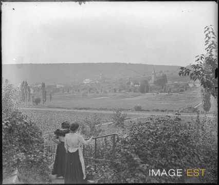 Vallée du Rupt-de-Mad (Onville)