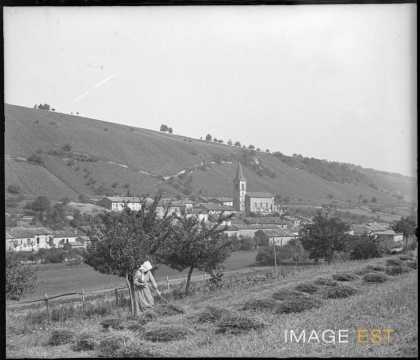Fenaison (Rembercourt-sur-Mad)