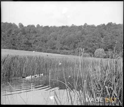 Rivière du Rupt-de-Mad (Rembercourt-sur-Mad)