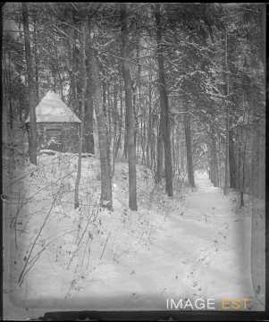 Allée dans un bois (Eulmont)