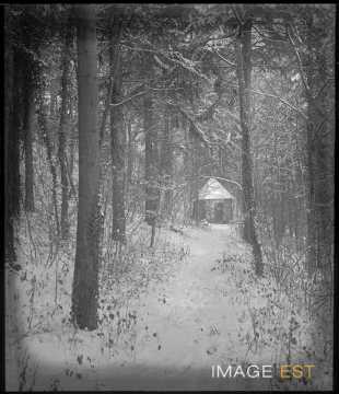 Allée dans un bois (Eulmont)