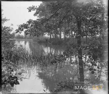 Rivière du Rupt-de-Mad (Rembercourt-sur-Mad)
