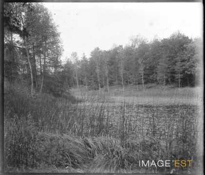 Rivière du Rupt-de-Mad (Rembercourt-sur-Mad)