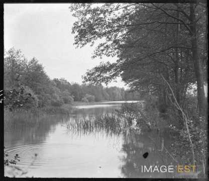 Rivière du Rupt-de-Mad (Rembercourt-sur-Mad)