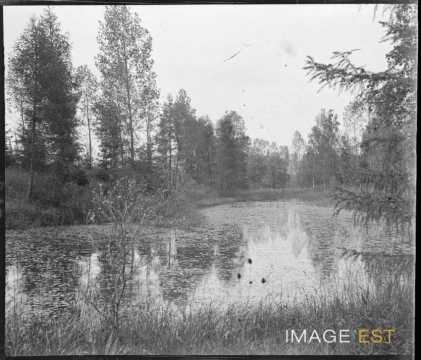 Rivière du Rupt-de-Mad (Rembercourt-sur-Mad)