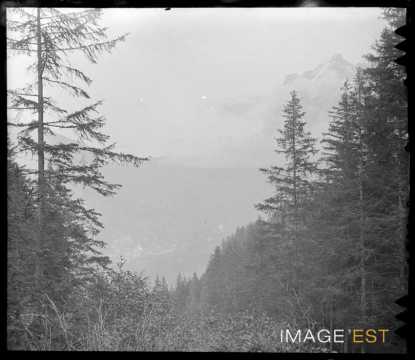Glacier (Grindelwald)
