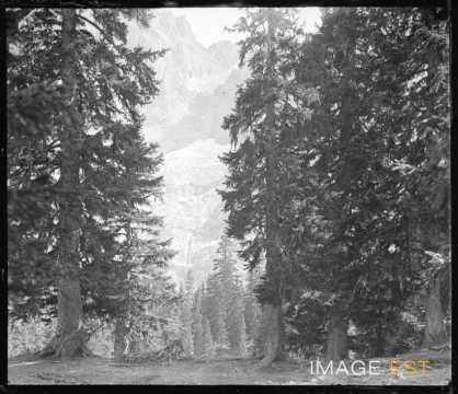 Glacier de Schwarzwald (Berne)