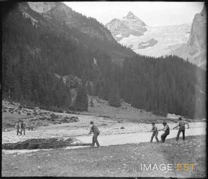 Hommes tirant un sapin (Berne)